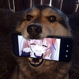 Telegram profile photo for Non fame