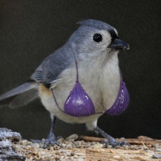 Telegram profile photo for Я люблю узбека