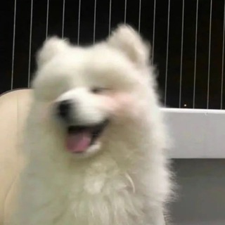 Telegram group profile photo for 𝐦𝐨𝐨𝐧𝐥𝐢𝐠𝐡𝐭 買賣宣傳群