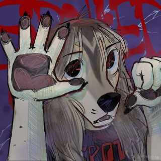 Telegram profile photo for SpottedNN