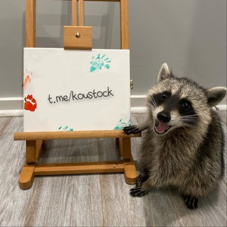 Telegram profile photo for Kou Stock
