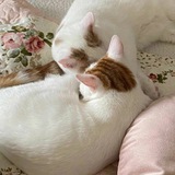 Telegram profile photo for ЛЕГКИЙ ЗАРАБОТОК!