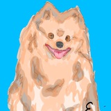 Telegram profile photo for 𝑲𝒂𝒏𝒆𝒌𝒊/Аᴩᴛы