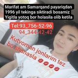 Telegram profile photo for Payariq ami