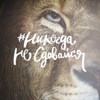 Telegram profile photo for НИКОГДА НЕ СДАВАЙСЯ