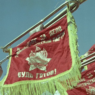 Telegram profile photo for Бетки и депозит от Пионера
