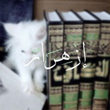 Telegram profile photo for إزهِــࢪَاࢪٌ ᥫ᭡