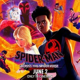 Telegram profile photo for Spider Man Across The Spider Verse