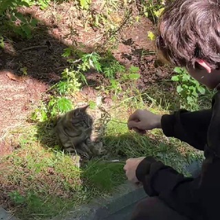 Telegram profile photo for imp