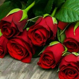 Telegram profile photo for ❤❤ کلبه عشق❤❤