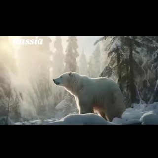 Telegram profile photo for Россия без границ, Взгляд в будущее
