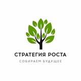 Telegram profile photo for Стратегия Роста/Извеков