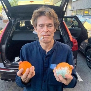 Telegram profile photo for пивной элементаль