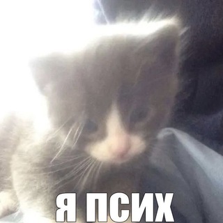 Telegram profile photo for Mᴏᴏɴʟɪᴛ Mʏꜱᴛᴇʀʏ