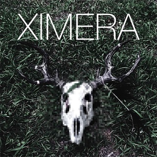 Telegram profile photo for XIMERA