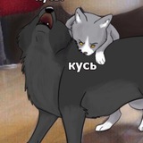 Telegram profile photo for Карельский Кусь плюс