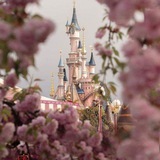 Telegram profile photo for Disney Images 👑/ 迪士尼圖片👑/дисней образ👑