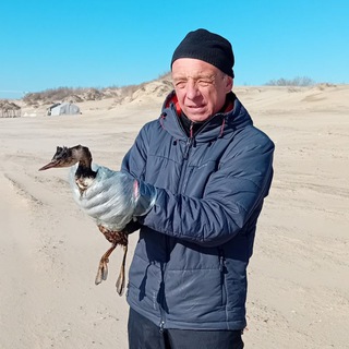 Telegram profile photo for Мир без границ