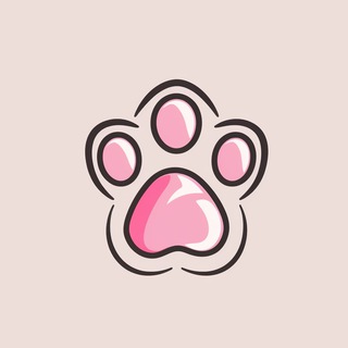 Telegram profile photo for PawPetit 🐾