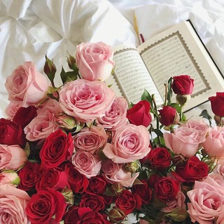 Telegram profile photo for آيات…♥️