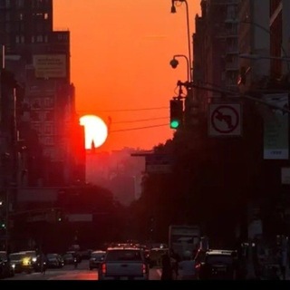 Telegram profile photo for No Green Pass Palermo