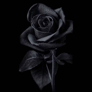Telegram profile photo for FATHER GIVEAWAY