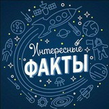 Telegram profile photo for 📕Интересные Факты📕
