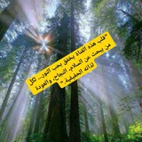 Telegram profile photo for أكاديمية مفاتيح الأبواب الذهبية للوعي الأعلى JNITSMH