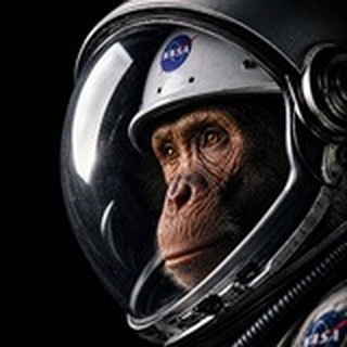 Telegram profile photo for Ham The Astrochimp Portal