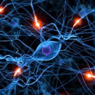 Telegram profile photo for Neurology collections 2020