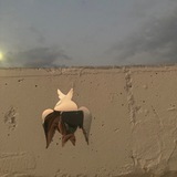 Telegram profile photo for Не в бровь/а в глаз