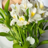 Telegram profile photo for ОТЗЫВЫ Тело как собеседник