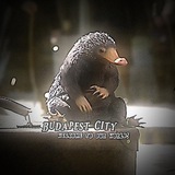 Telegram profile photo for 𝑰𝑵𝑭𝑶 𝑩𝑼𝑫𝑨𝑷𝑬𝑺𝑻