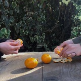 Telegram profile photo for نارنگی