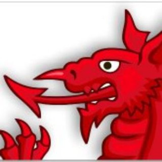 Telegram profile photo for Freedragon.uk Stop the Genocide