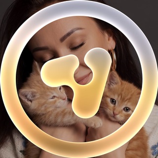Telegram profile photo for Идеи Нейрофотосессий · Avalava