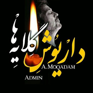 Telegram profile photo for داریوش گلایه ها