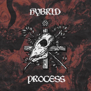 Telegram profile photo for Hybrid Process