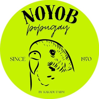 Telegram profile photo for NOYOB POPUGAY 🐦⬛️