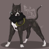 Telegram profile photo for Pupping Pit