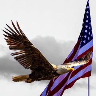 Telegram profile photo for Republican's Voice