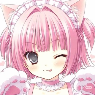 Telegram profile photo for wohnung