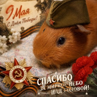 Telegram profile photo for 📔дневник Рыжика🐹