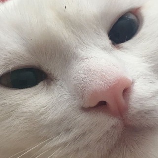 Telegram profile photo for любимая 💋