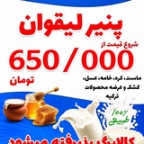 Telegram profile photo for پخش پنیر لیقوان(محمودی)
