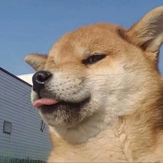 Telegram profile photo for 马尼拉修车
