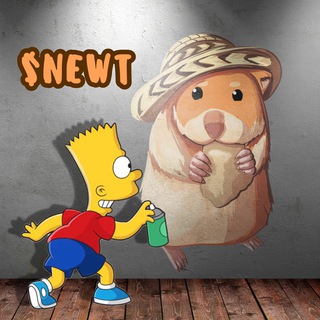 Telegram group profile photo for $NEWT Chat