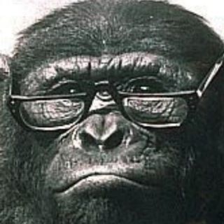 Telegram profile photo for Blaster