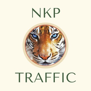 Telegram profile photo for NKP TRAFFIC
