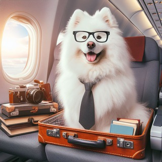Telegram group profile photo for ПИТОМЦЫ | чат